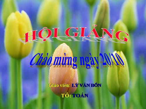 Chương II. §2. Hàm số bậc nhất
