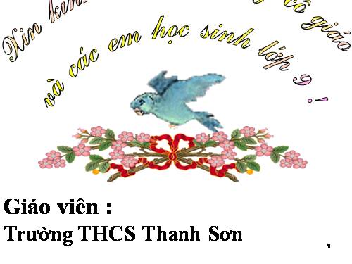 Các bài Luyện tập