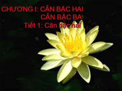 Chương I. §1. Căn bậc hai