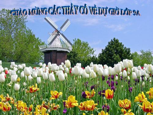 Chương IV. §4. Công thức nghiệm của phương trình bậc hai