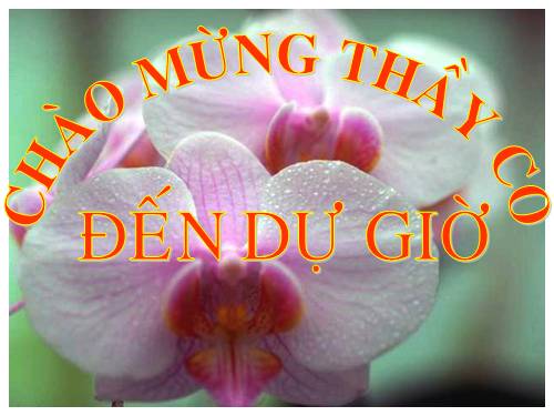 Ôn tập Chương III. Hệ hai phương trình bậc nhất hai ẩn