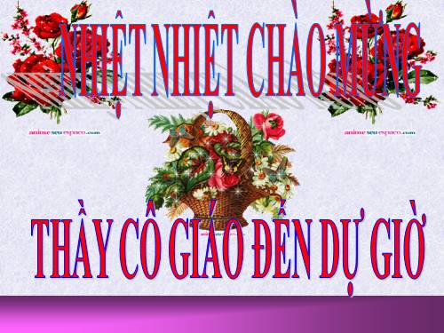 Các bài Luyện tập