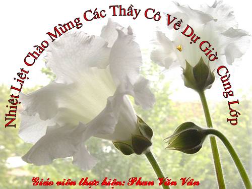 Chương IV. §3. Phương trình bậc hai một ẩn