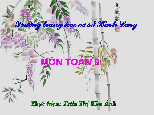 Các bài Luyện tập