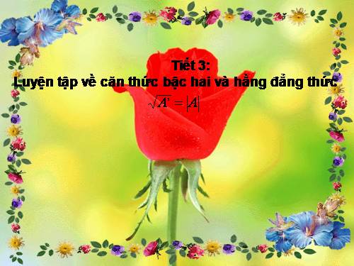 Các bài Luyện tập