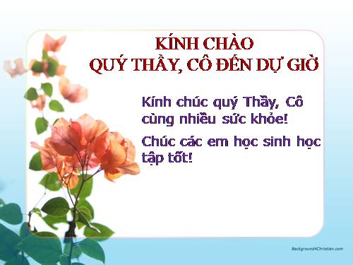 Ôn tập Chương II. Hàm số bậc nhất