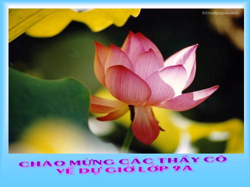 Chương II. §5. Hệ số góc của đường thẳng y = ax + b (a ≠ 0)