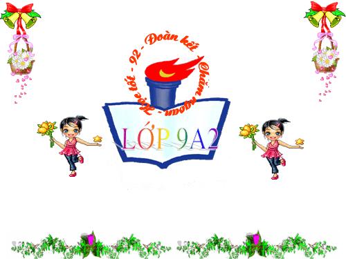 Các bài Luyện tập