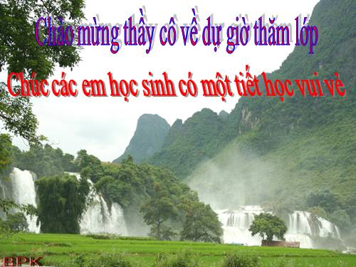 Các bài Luyện tập