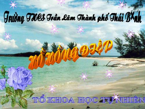Ôn tập Chương II. Hàm số bậc nhất