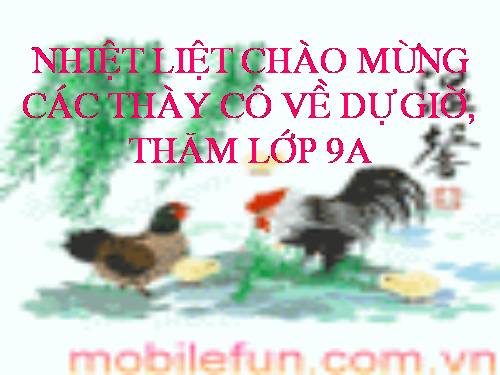Chương II. §3. Đồ thị của hàm số y = ax + b (a ≠ 0)