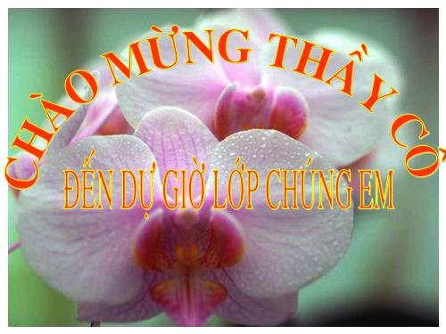 Ôn tập Chương III. Hệ hai phương trình bậc nhất hai ẩn