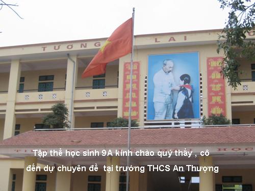 Các bài Luyện tập