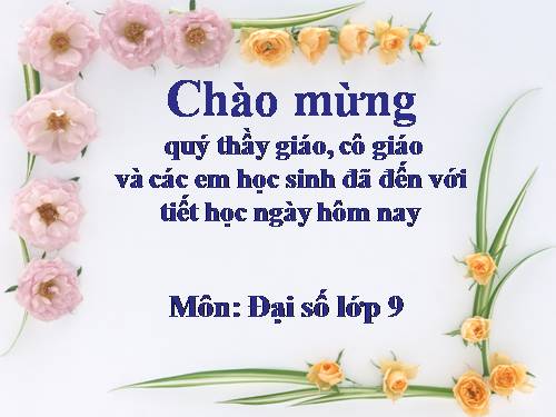 Chương II. §2. Hàm số bậc nhất