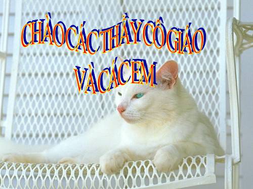 Chương IV. §2. Đồ thị của hàm số y = ax² (a ≠ 0)