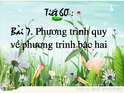 Chương IV. §7. Phương trình quy về phương trình bậc hai