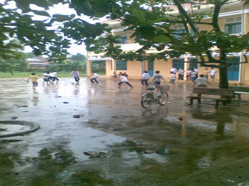 Chương IV. §7. Phương trình quy về phương trình bậc hai