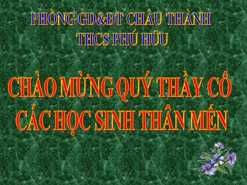 Các bài Luyện tập
