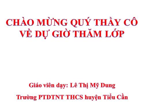 Các bài Luyện tập
