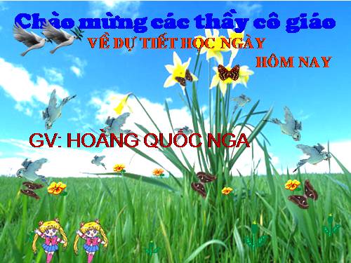 Chương IV. §4. Công thức nghiệm của phương trình bậc hai