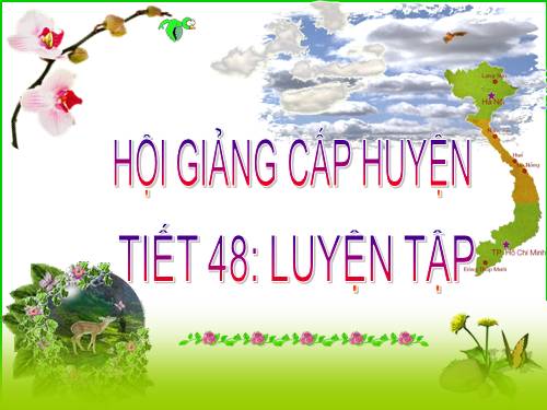 Các bài Luyện tập