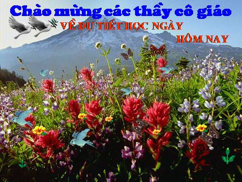 Chương IV. §4. Công thức nghiệm của phương trình bậc hai
