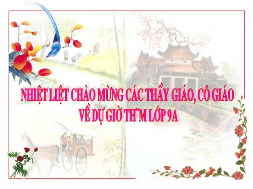 Các bài Luyện tập