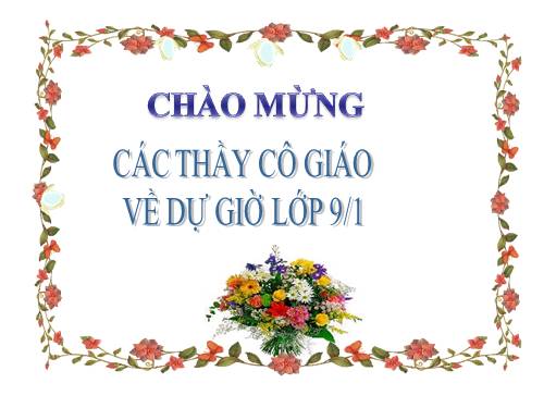 Chương IV. §1. Hàm số y = ax² (a ≠ 0)