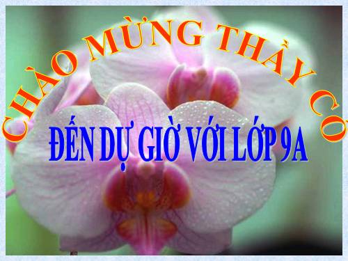 Ôn tập Chương III. Hệ hai phương trình bậc nhất hai ẩn