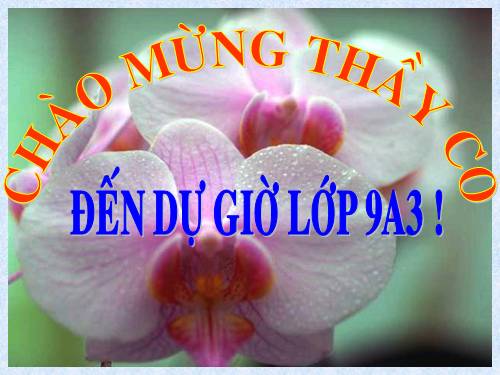 Ôn tập Chương III. Hệ hai phương trình bậc nhất hai ẩn