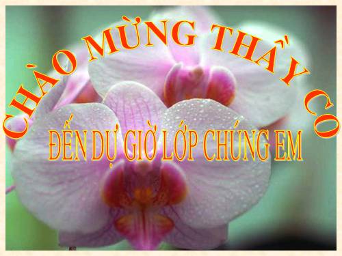 Ôn tập Chương III. Hệ hai phương trình bậc nhất hai ẩn