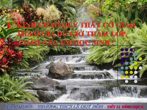 Chương IV. §3. Phương trình bậc hai một ẩn