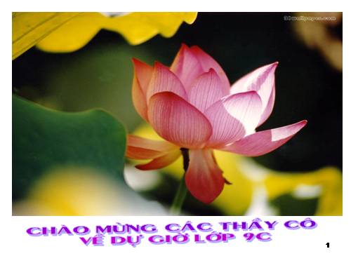 Ôn tập Chương II. Hàm số bậc nhất