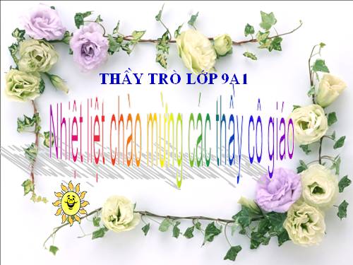 Chương II. §5. Hệ số góc của đường thẳng y = ax + b (a ≠ 0)