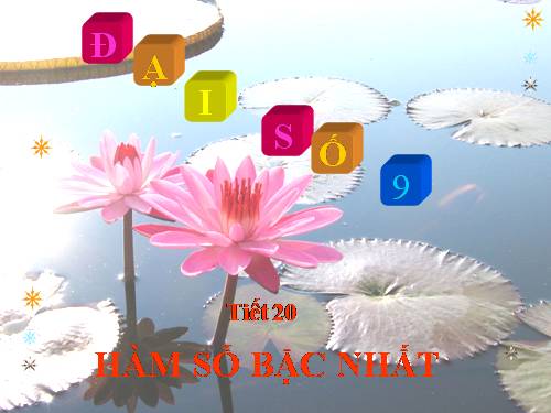 Chương IV. §1. Hàm số y = ax² (a ≠ 0)