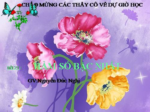 Chương II. §2. Hàm số bậc nhất