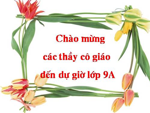 Ôn tập Chương I. Căn bậc hai. Căn bậc ba