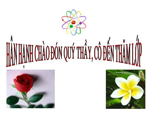 Chương II. §4. Đường thẳng song song và đường thẳng cắt nhau