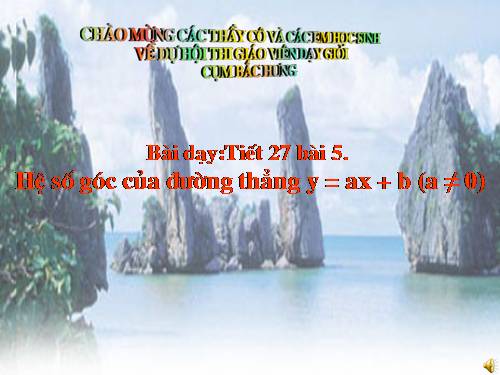 Chương II. §5. Hệ số góc của đường thẳng y = ax + b (a ≠ 0)