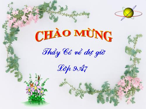 Chương IV. §3. Phương trình bậc hai một ẩn