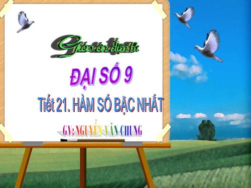 Chương II. §2. Hàm số bậc nhất