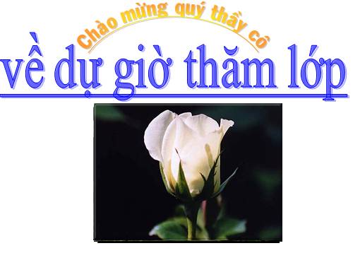 Các bài Luyện tập