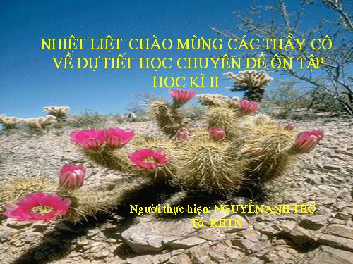 Chương IV. §3. Phương trình bậc hai một ẩn