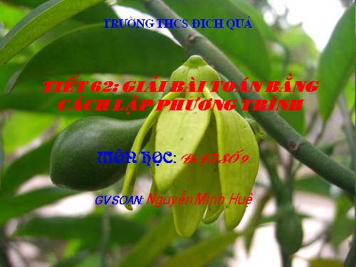 Chương IV. §8. Giải bài toán bằng cách lập phương trình