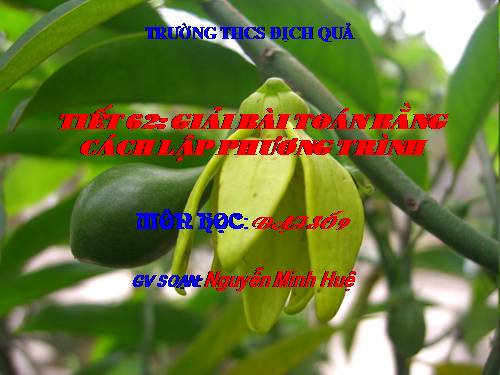 Chương IV. §8. Giải bài toán bằng cách lập phương trình