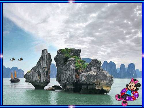 Chương II. §3. Đồ thị của hàm số y = ax + b (a ≠ 0)