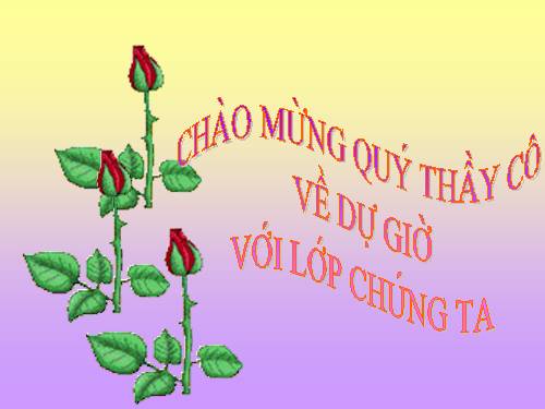 Chương IV. §7. Phương trình quy về phương trình bậc hai