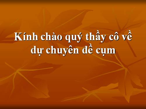 Các bài Luyện tập