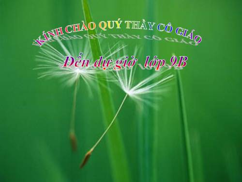 Chương IV. §6. Hệ thức Vi-ét và ứng dụng