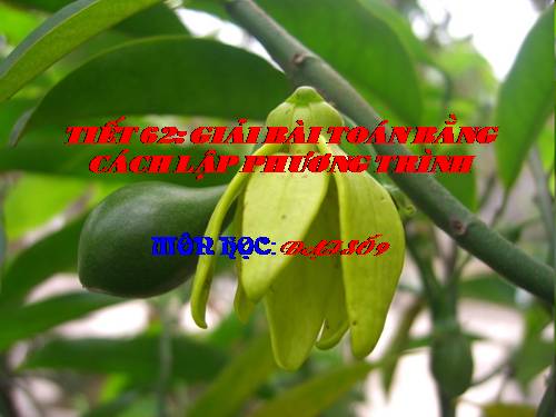 Chương IV. §8. Giải bài toán bằng cách lập phương trình